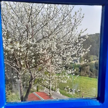 Casa Quitapenas, Tu Refugio Aislado 度假居 *