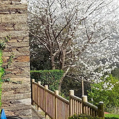Casa Quitapenas, Tu Refugio Aislado *